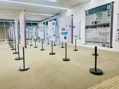 Sala de congreso con pósteres académicos ordenados en portapósteres